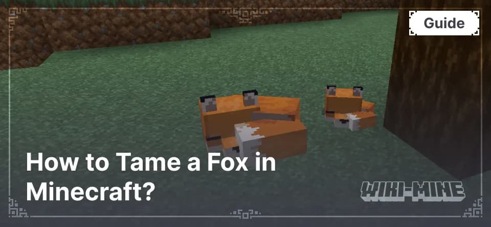 How to Tame a Fox in Minecraft?