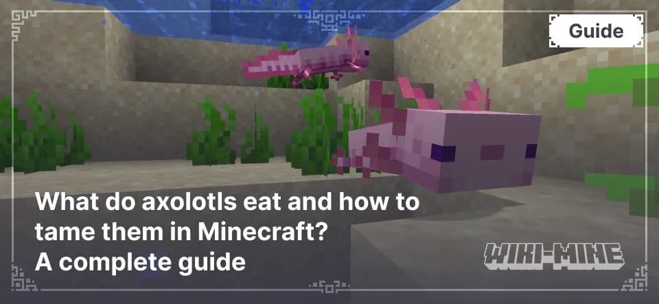 What do axolotls eat and how to tame them in Minecraft? A complete guide