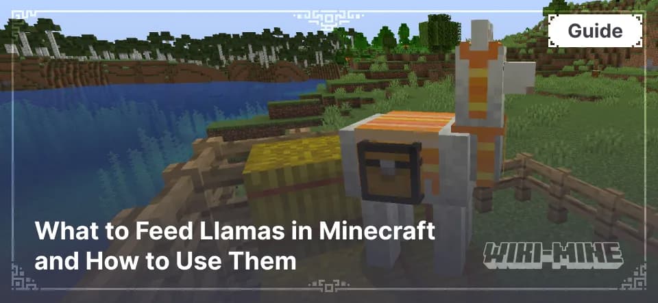 What to Feed Llamas in Minecraft and How to Use Them