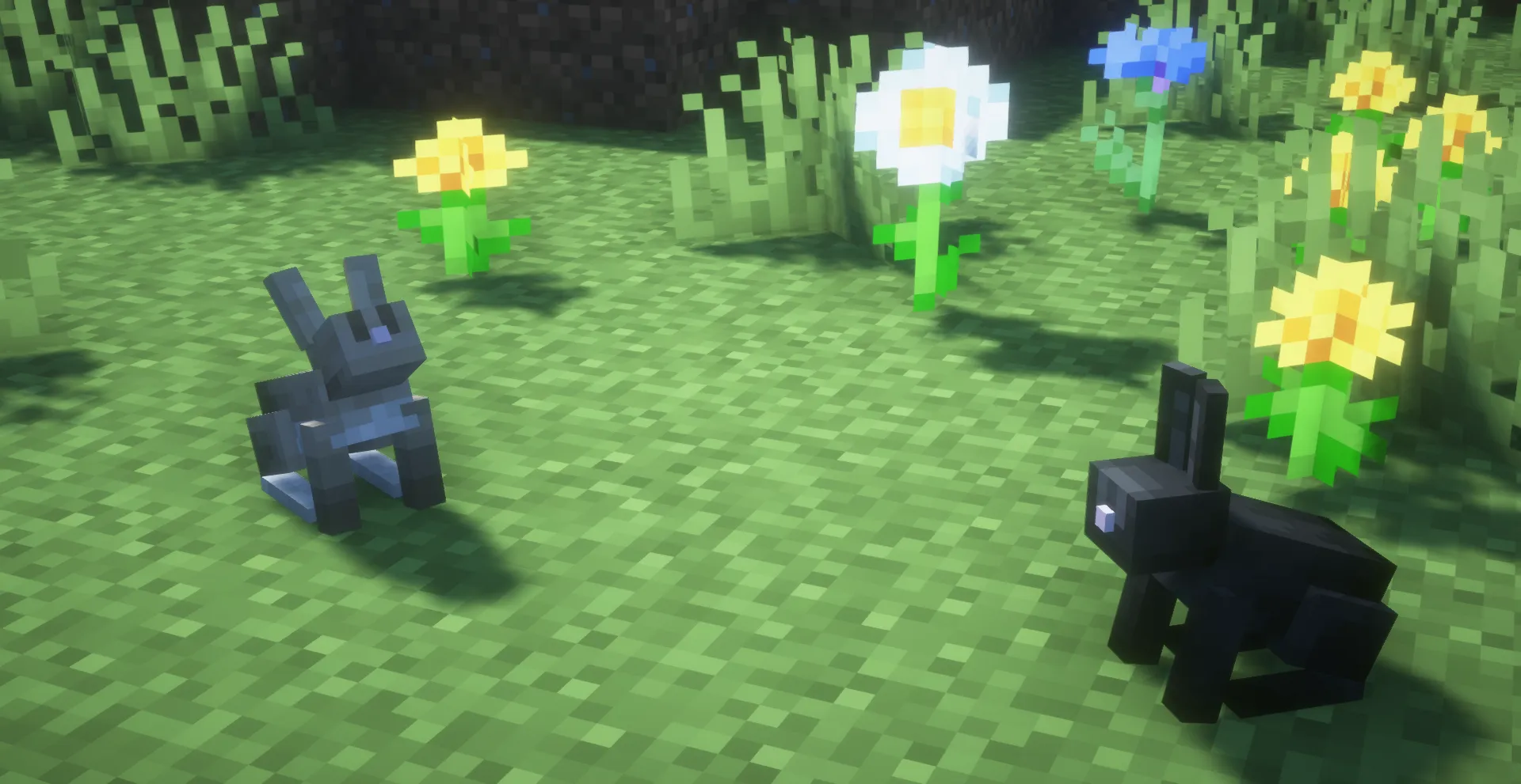 Deserts Flower Forests Snowy Tundras (white rabbits spawn here)