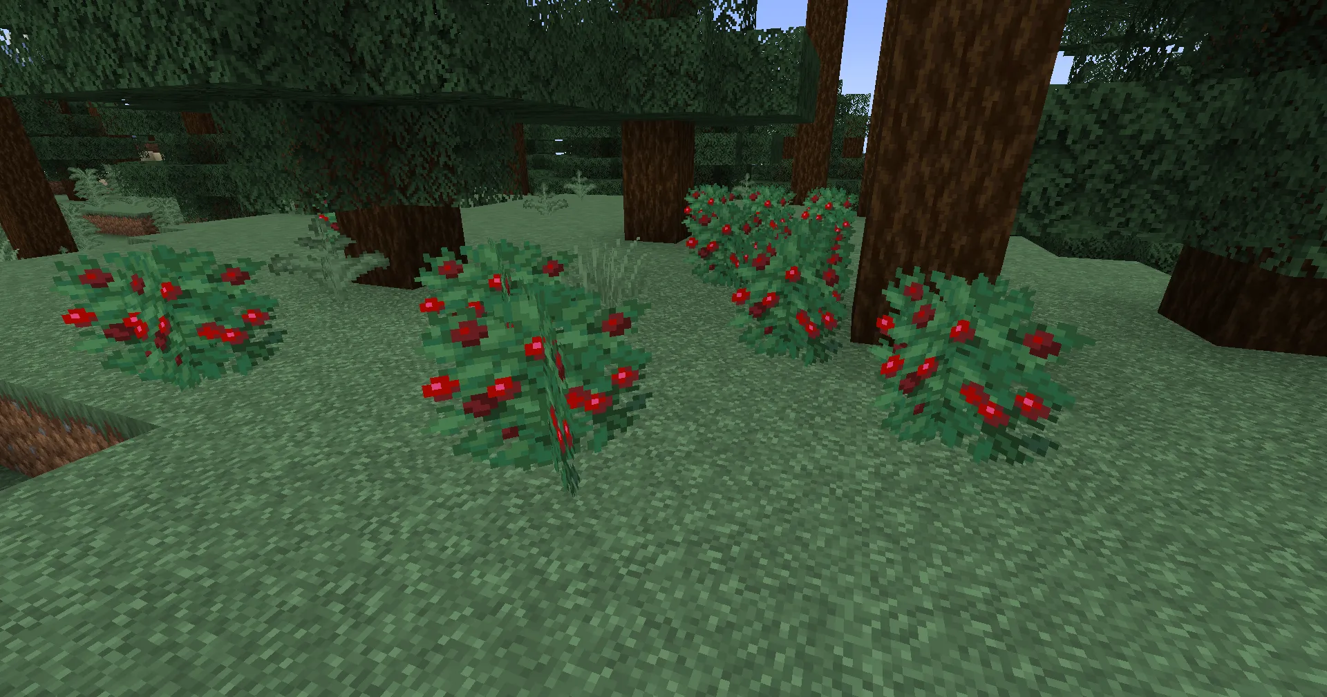 Where to Find: Sweet berries can be found in bushes in Taiga or Snowy Taiga biomes. How to Collect: Right-click on the bush…