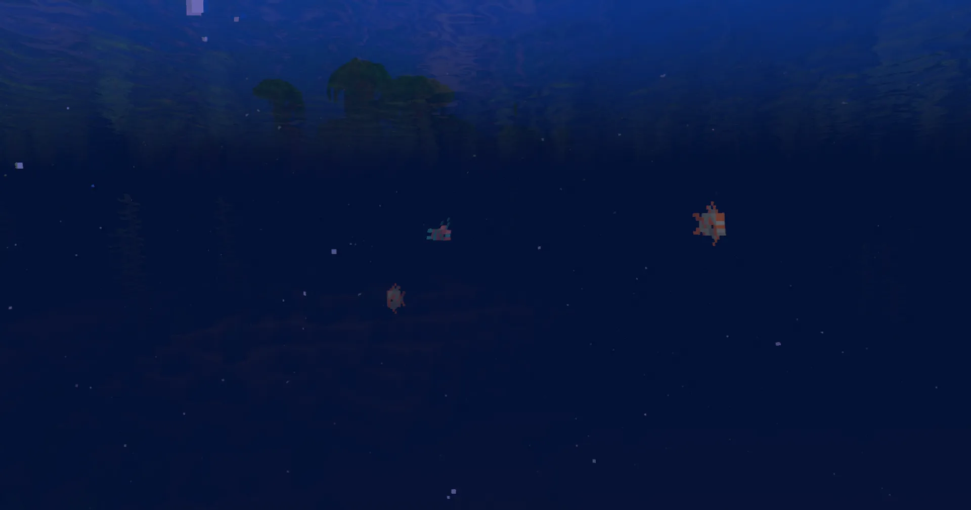 Find tropical fish in bodies of water located in warm oceans or tropical biomes.