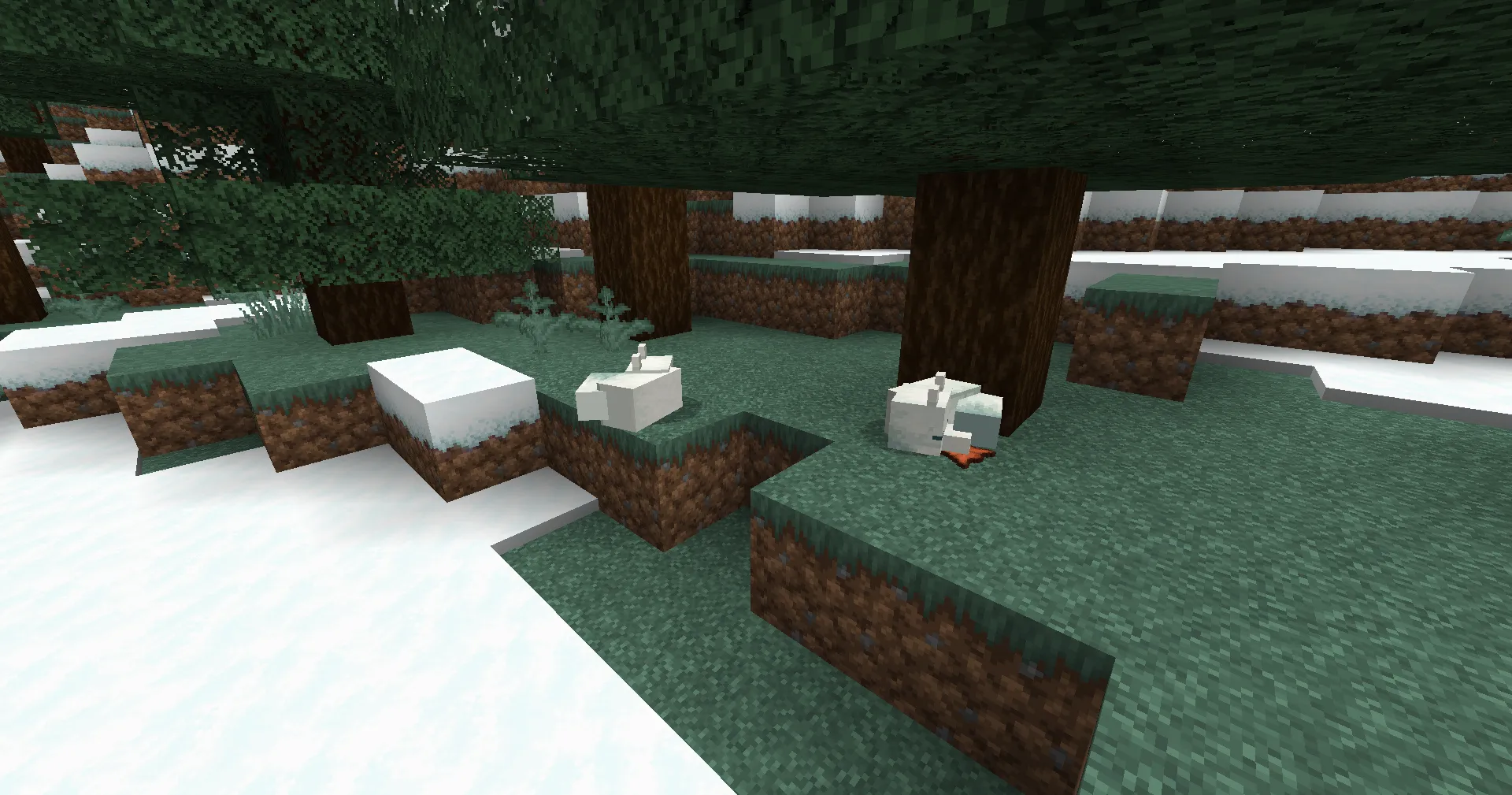 Foxes usually spawn in small groups, typically with 2–4 adults and occasionally a baby fox.
