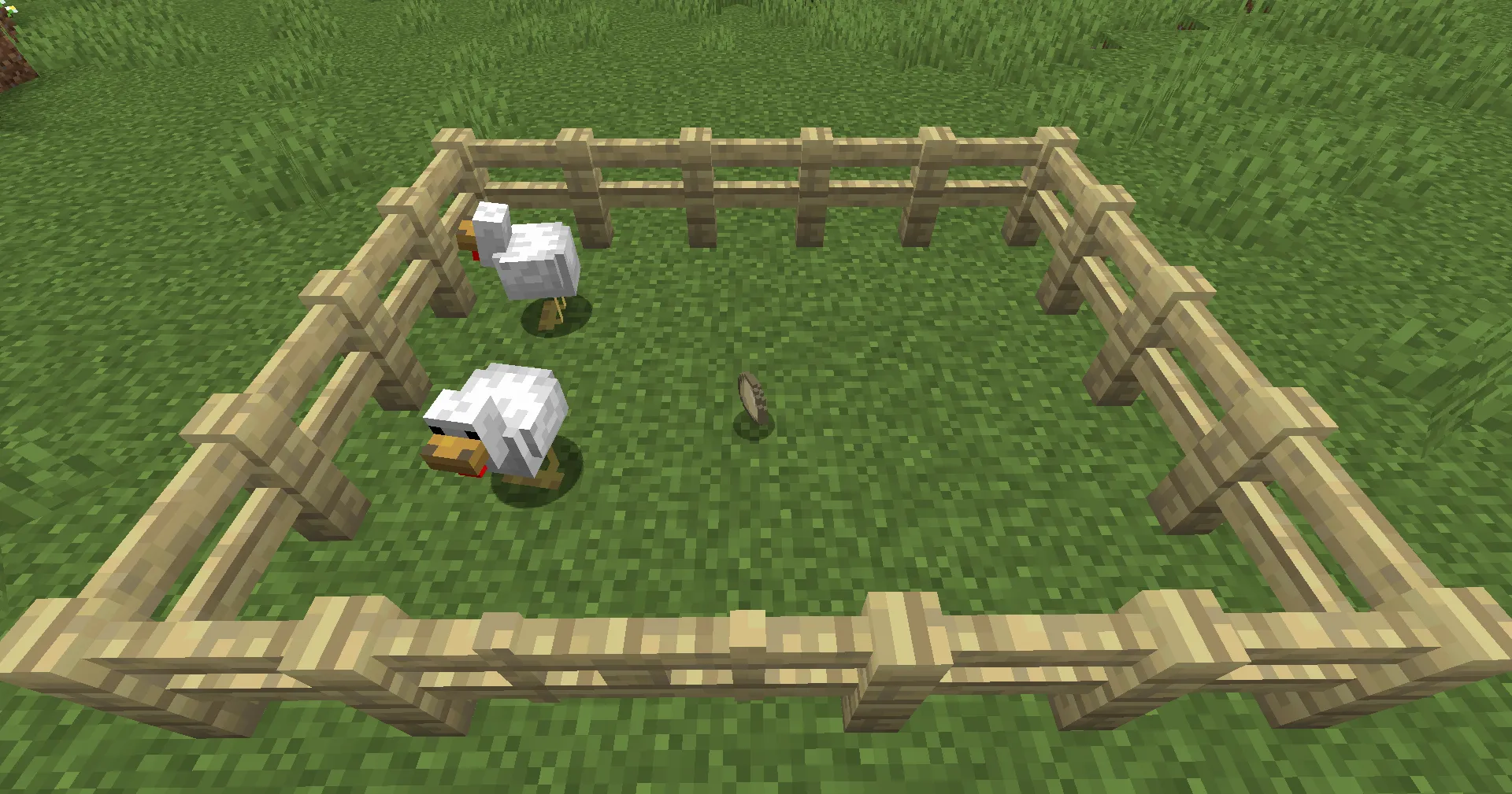 4. Egg Eggs are laid by chickens over time. If you don’t have chickens yet, check out our article «How to Tame a Chicken in…
