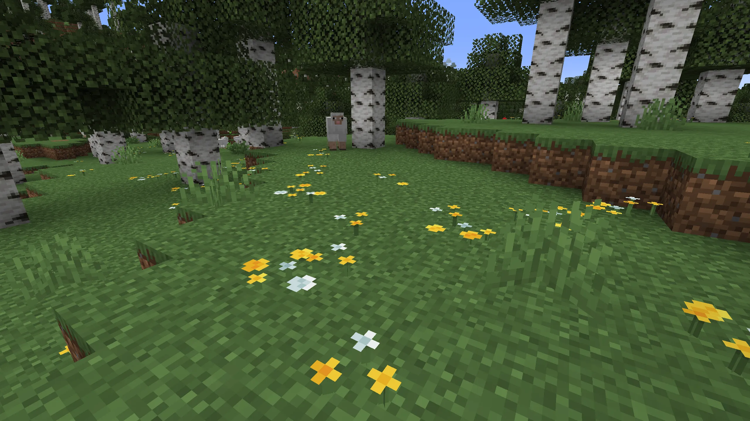 Grow in birch forests, old growth birch forests, and meadows. Can be used for yellow dye and multiplied with bone meal.