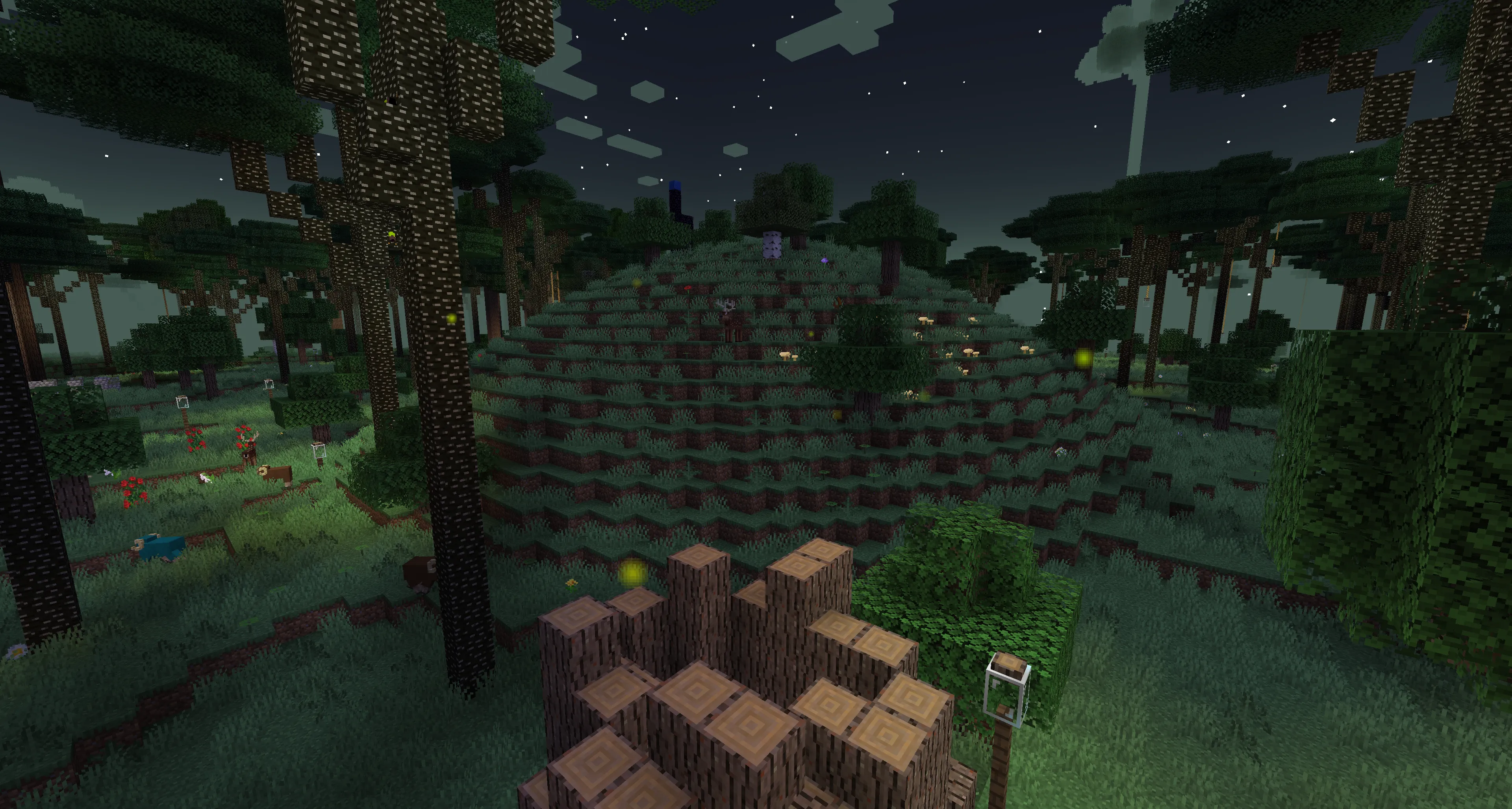 Hill from the outside: