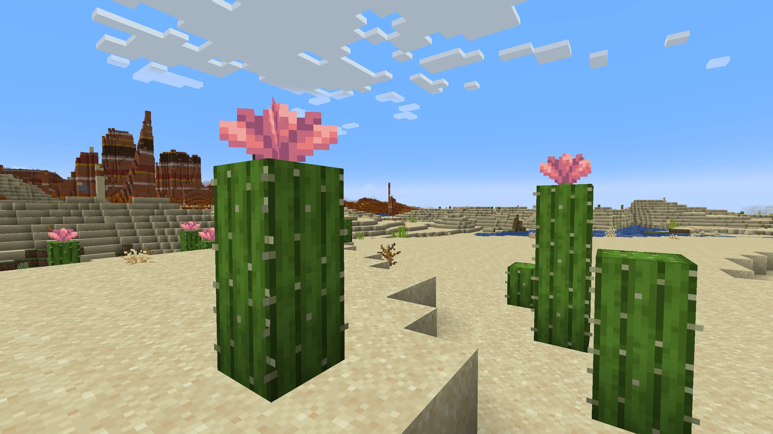 Has a chance to grow on cacti in deserts and badlands (10–25% depending on cactus height). Used to craft pink dye.