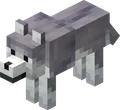 Ashen Wolf