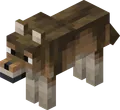 Woods Wolf
