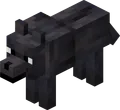 Black Wolf