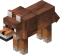 Rusty Wolf